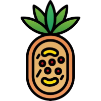 barbe-a-papa-tropical